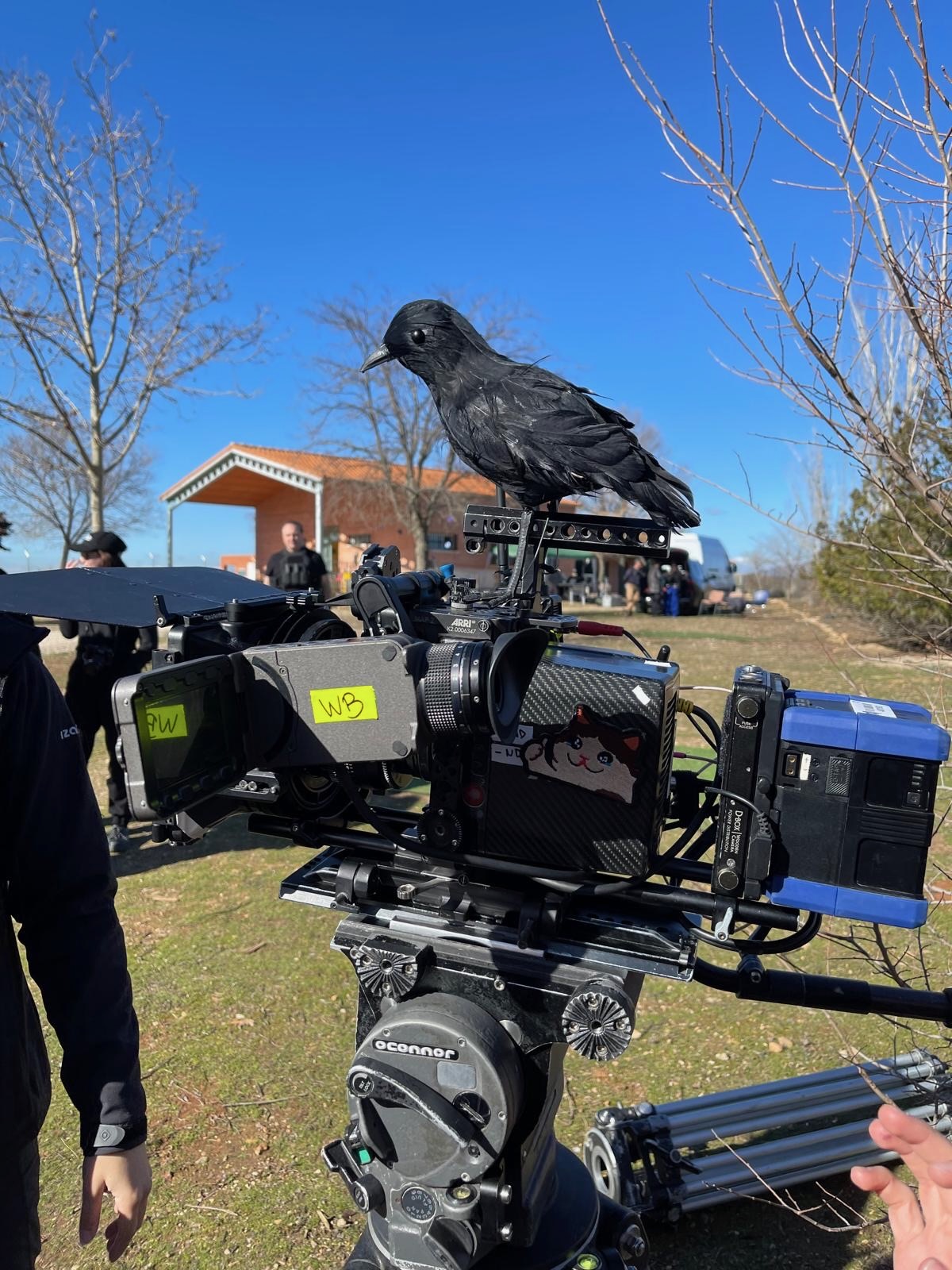 Crow prop on camera